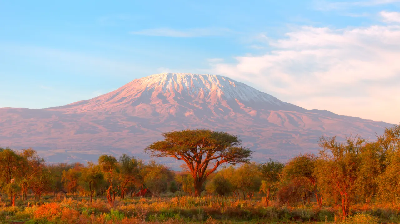 Kilimanjaro