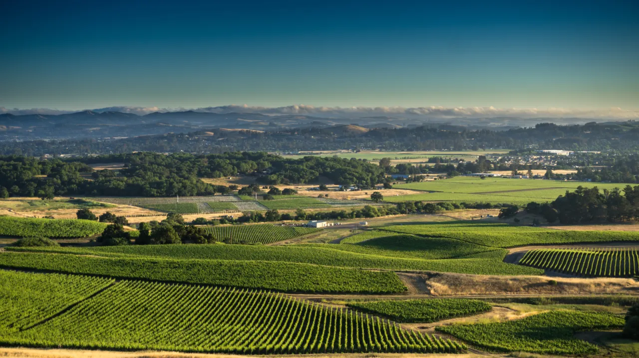 Sonoma
