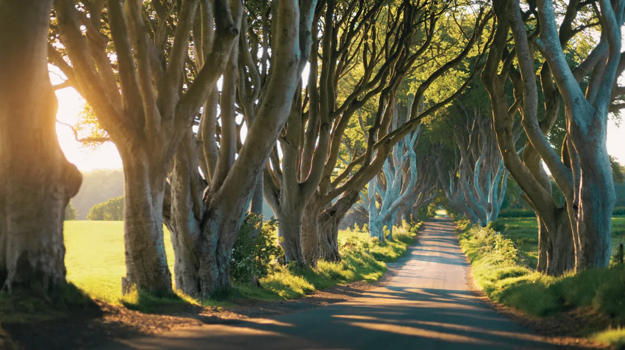 irlanda dark edges got