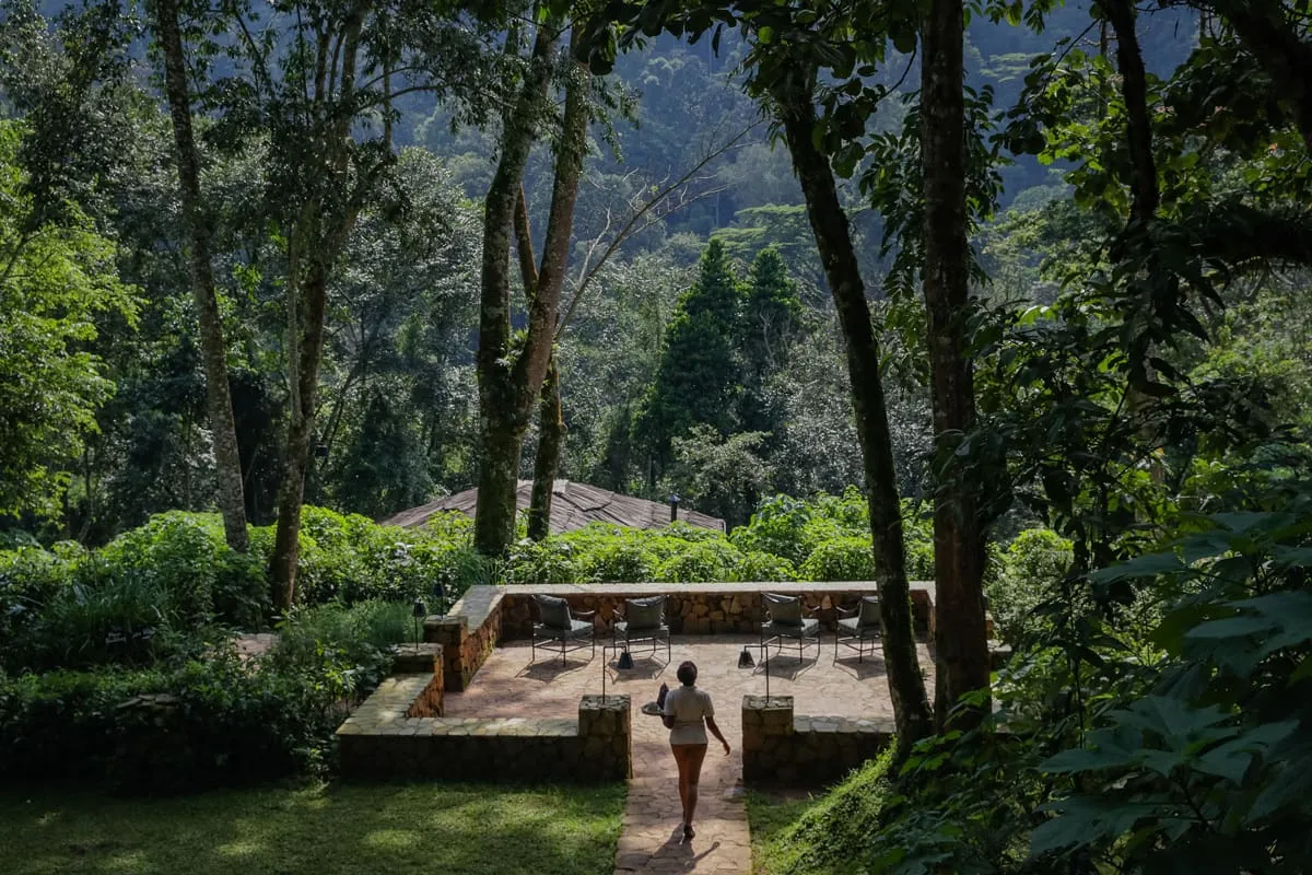 Bwindi-Lodge