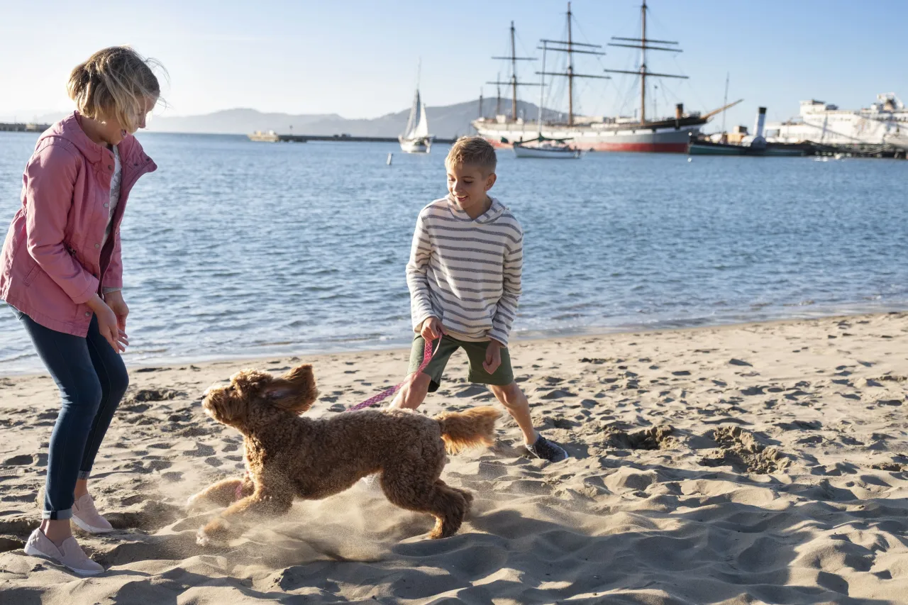 Argonaut Hotel, San Francisco hotel image from Expedia