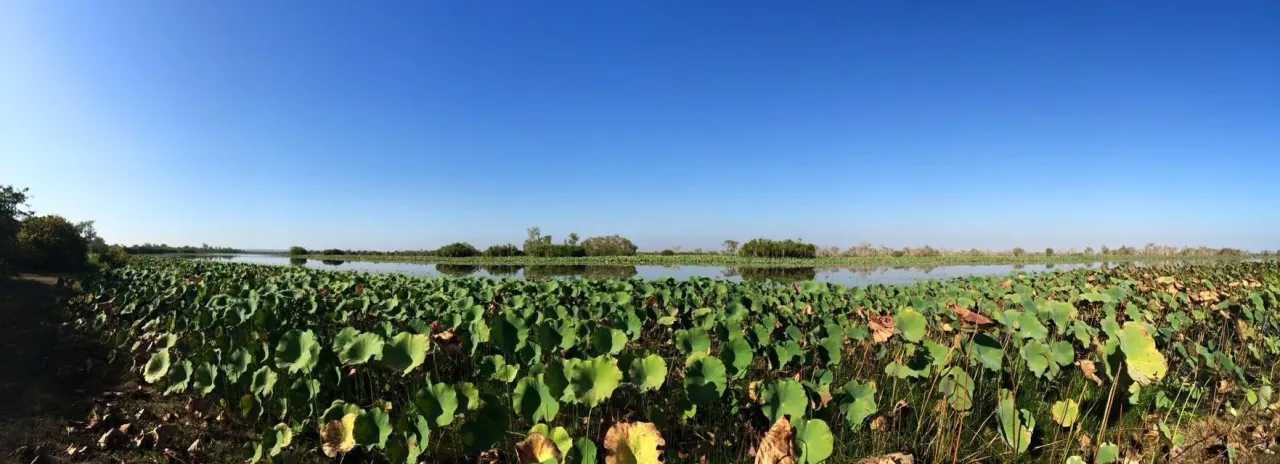 Bamurru Plains, Northern Territory hotel image from Expedia