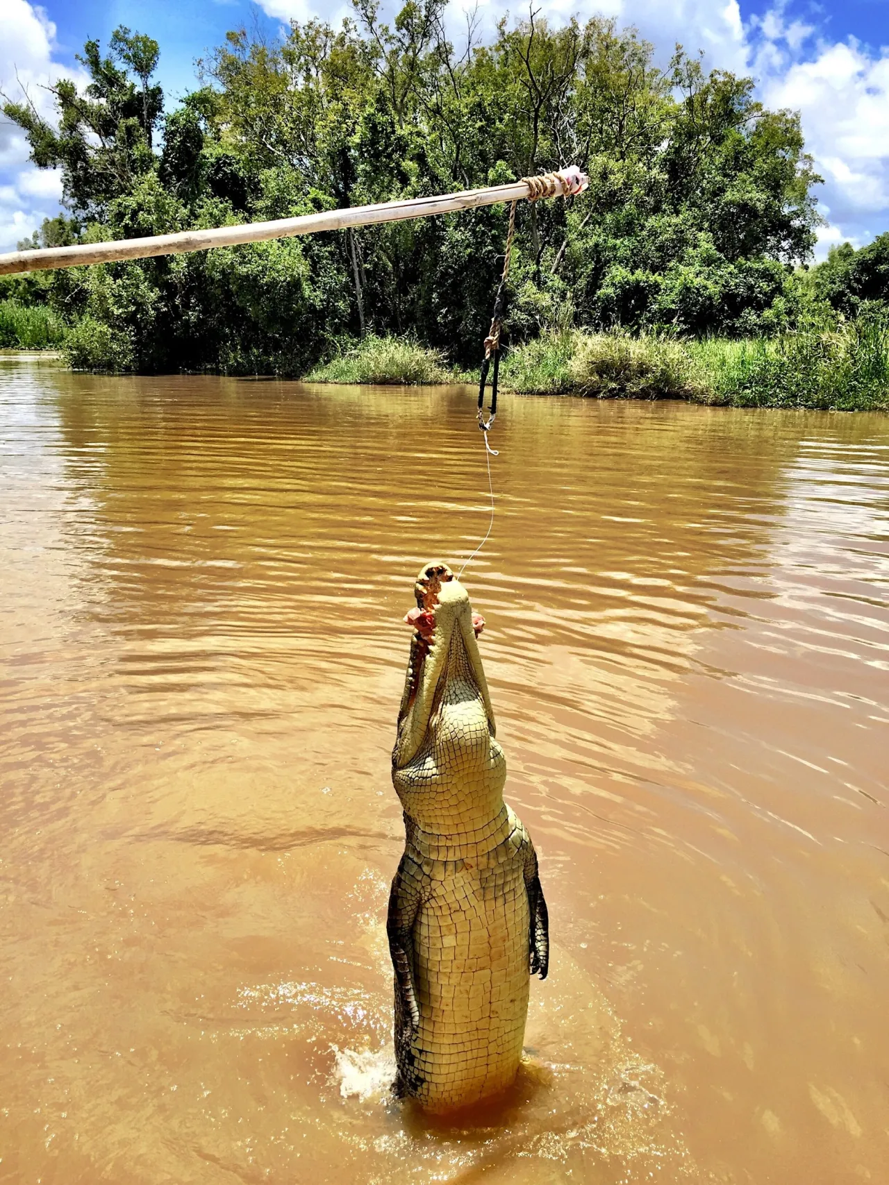 Bamurru Plains, Northern Territory hotel image from Expedia