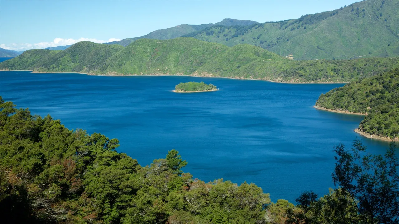 Bay of Many Coves, Marlborough Sounds hotel image from Expedia