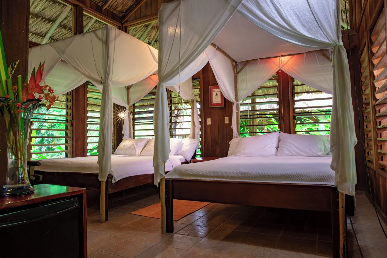 Chan Chich Lodge, Belize hotel image from Expedia