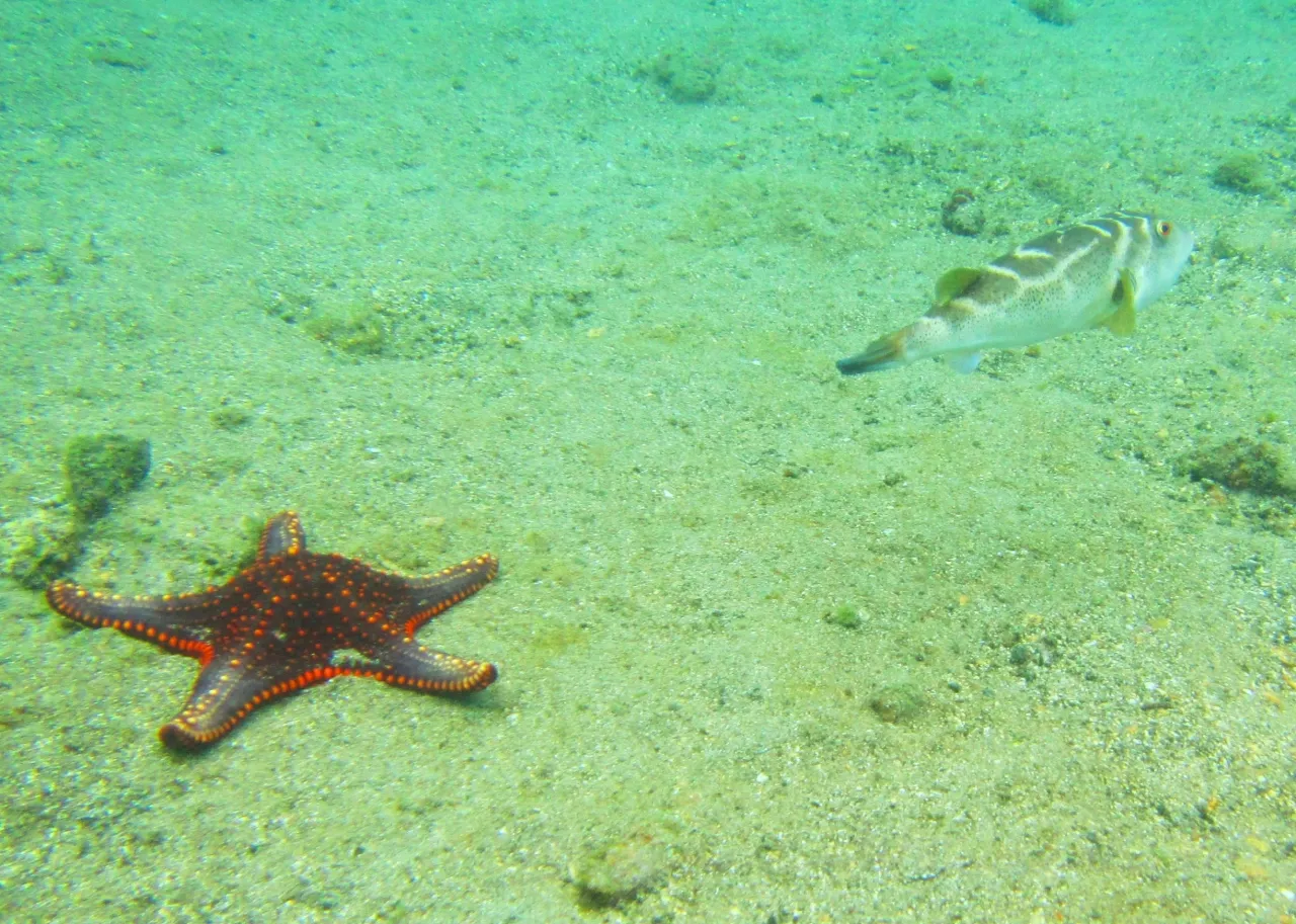 Galápagos Sea Star hotel image from Expedia