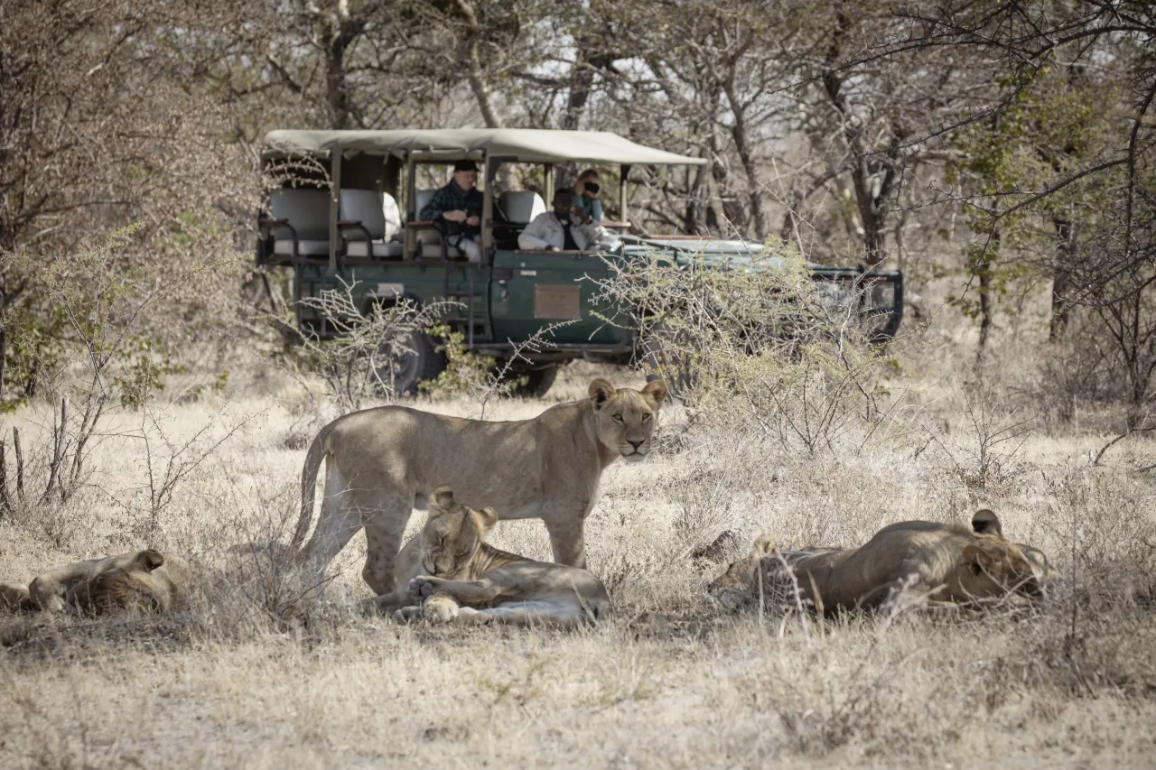 Jack’s Camp, Makgadikgadi Pans hotel image from Expedia