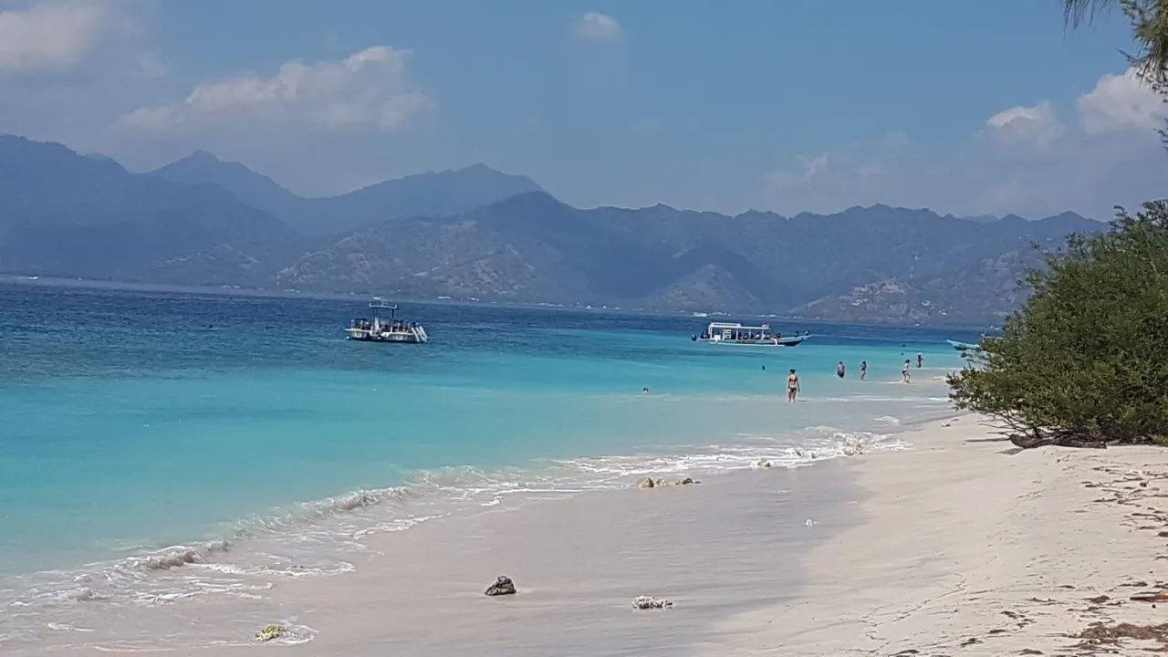 Kura Kura hotel image from Expedia