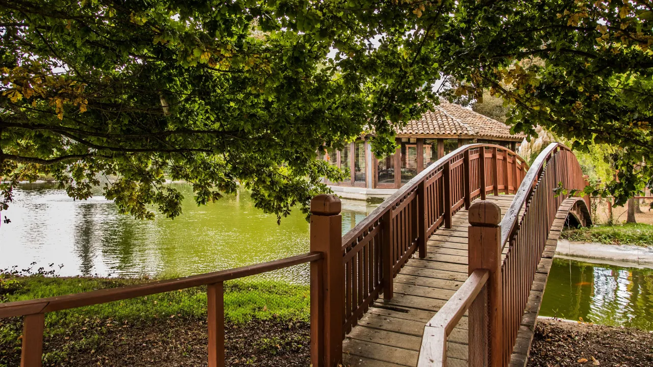 La Casona Matetic hotel image from Expedia