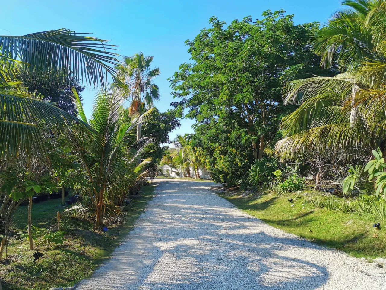 Little Palm Island, Florida hotel image from Expedia