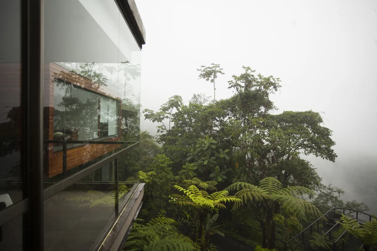 Mashpi Lodge hotel image from Expedia