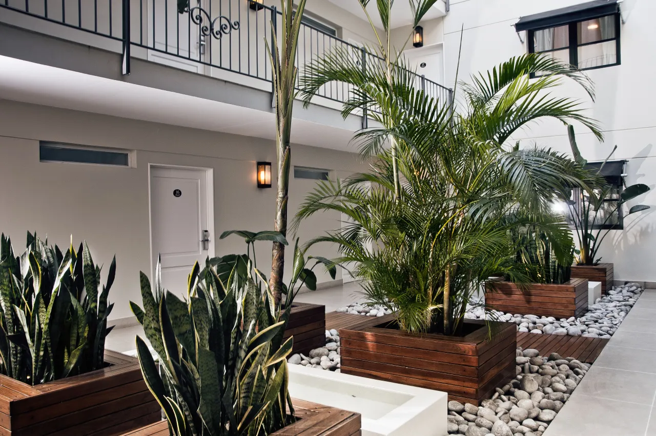 Nuss Hotel, Buenos Aires hotel image from Expedia