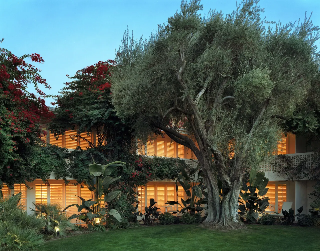 Parker, Palm Springs hotel image from Expedia