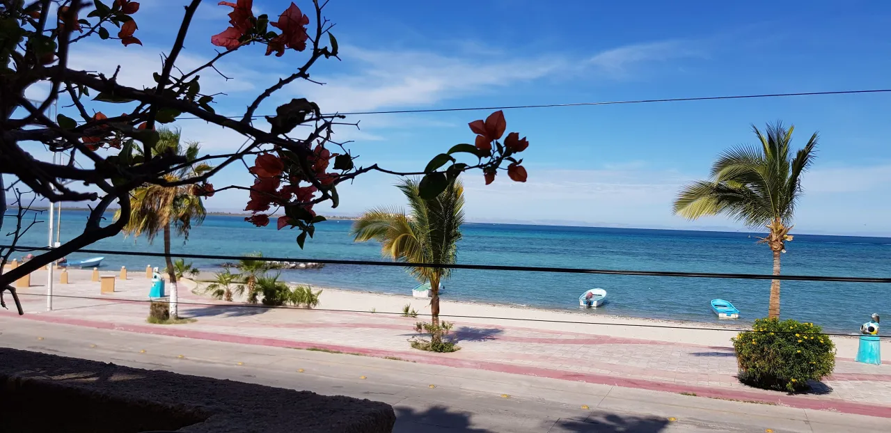 Posada de Las Flores, La Paz hotel image from Expedia