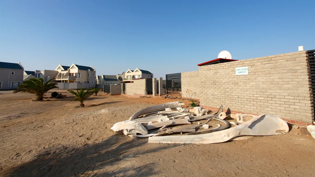 Shipwreck Lodge hotel image from Expedia