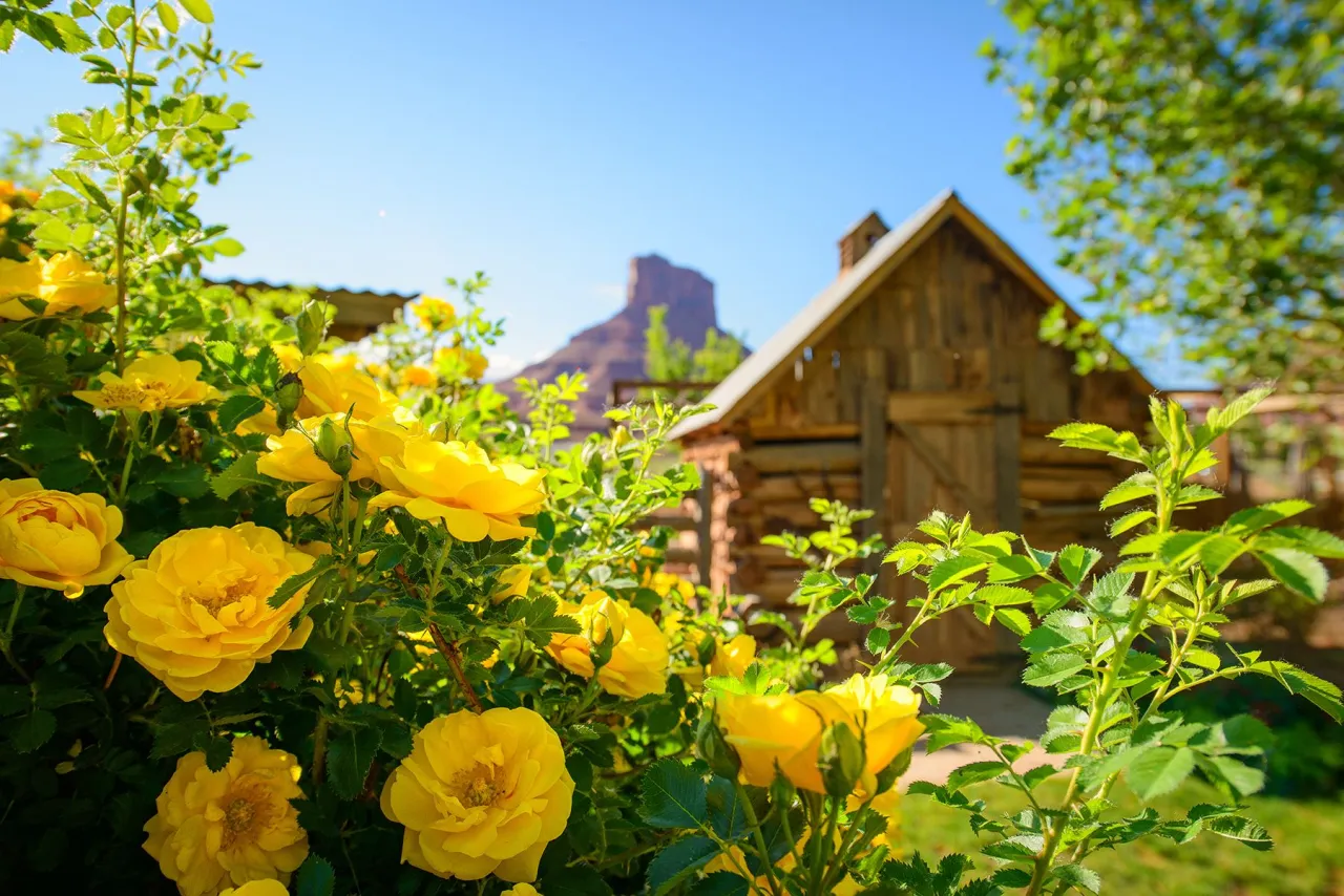 Sorrel River Ranch, Moab hotel image from Expedia
