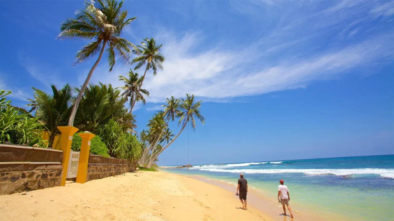 The Last House hotel image from Expedia