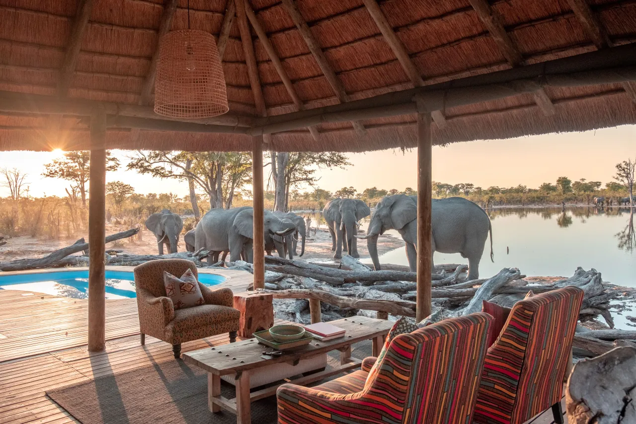 Tuludi, Okavango Delta hotel image from Expedia