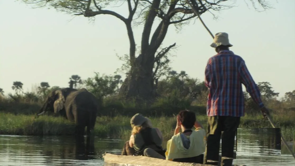 Vumbura Plains, Okavango Delta hotel image from Expedia