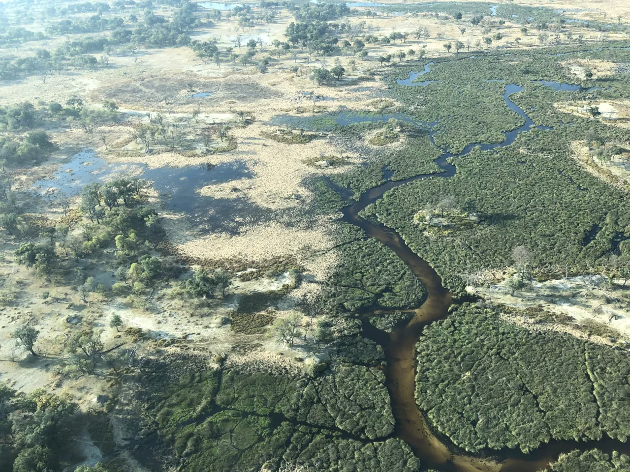Vumbura Plains, Okavango Delta hotel image from Expedia
