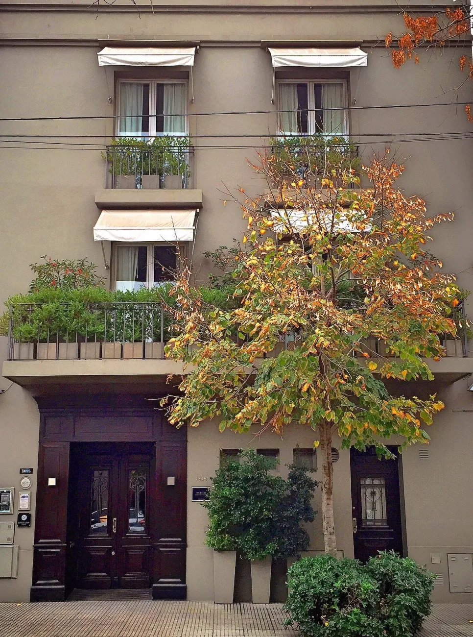 Legado Mítico, Buenos Aires hotel image from Expedia