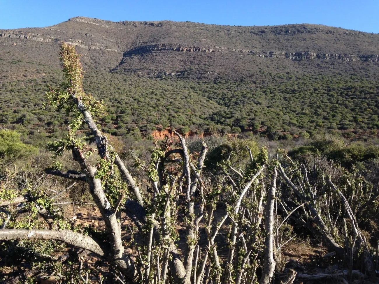 Samara Private Game Reserve hotel image from Expedia